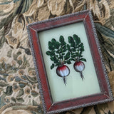 The Beaux Indian Paintings, Small
