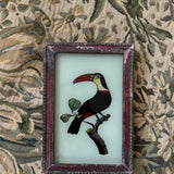 The Beaux Indian Paintings, Small