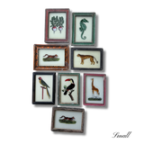 The Beaux Indian Paintings, Small