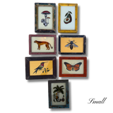 The Beaux Indian Paintings, Small