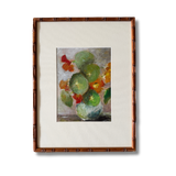The Nasturtium