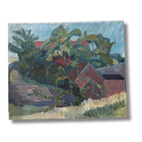 The Fazenda