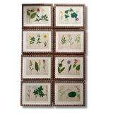 The Field Notes, Series of 8, Early 1900s